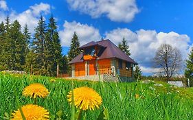 Apartmani Nisicka Oaza